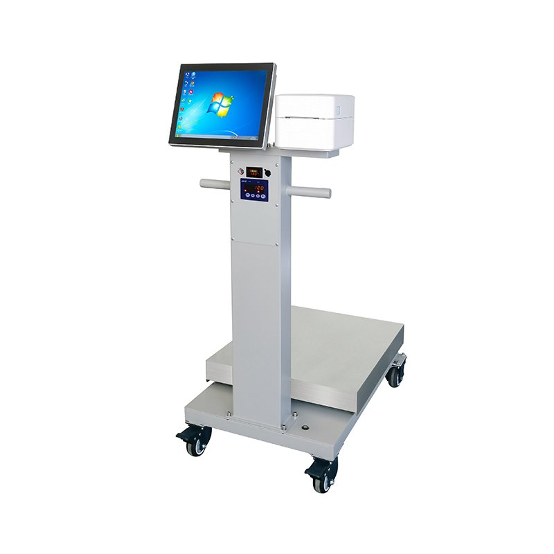 Y15 Portable Smart Scale