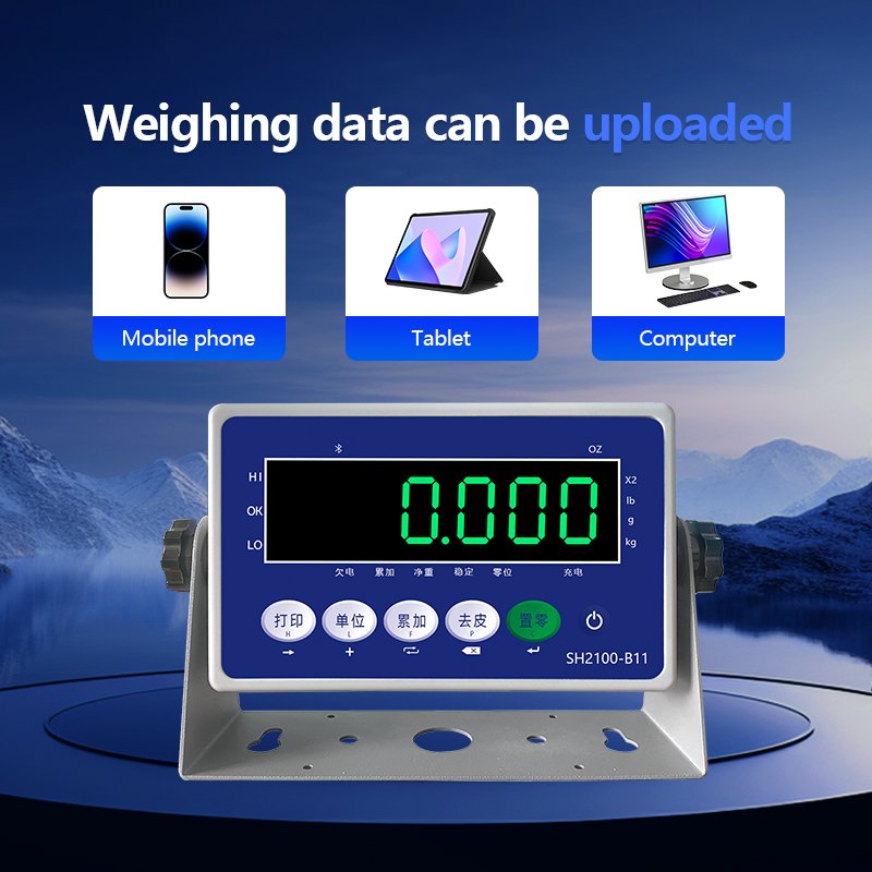 B11 Weighing Indicator