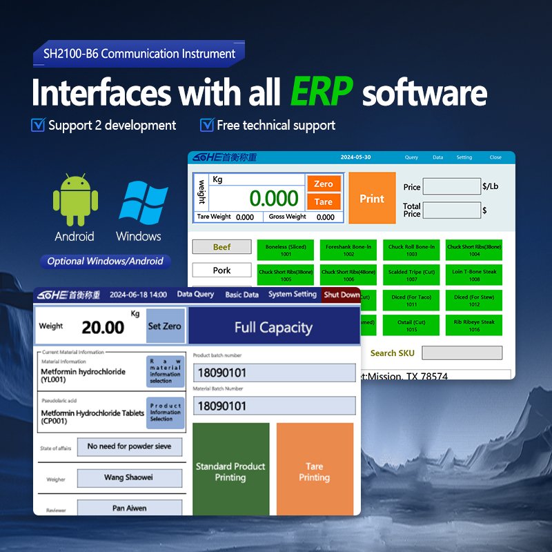 B6 Weighing Indicator