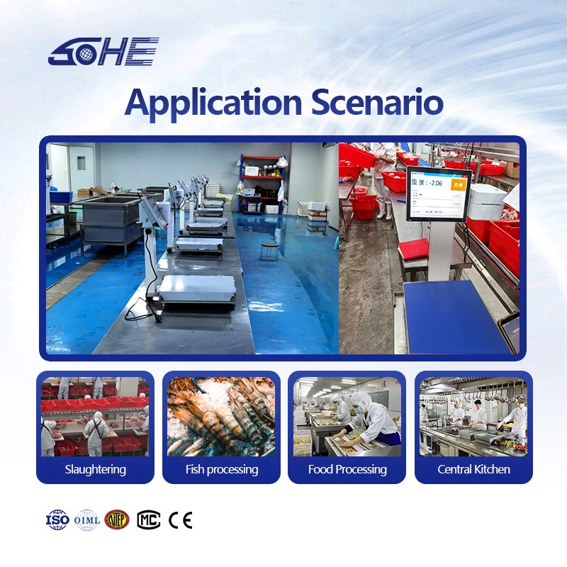 Fully waterproof intelligent scale