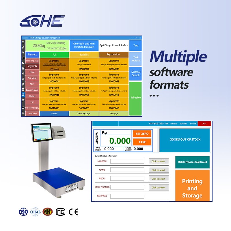 Fully waterproof intelligent scale