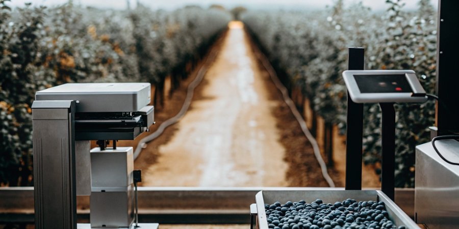 Intelligent Weighing Solutions for Blueberry Farms in the Pacific Northwest, USA