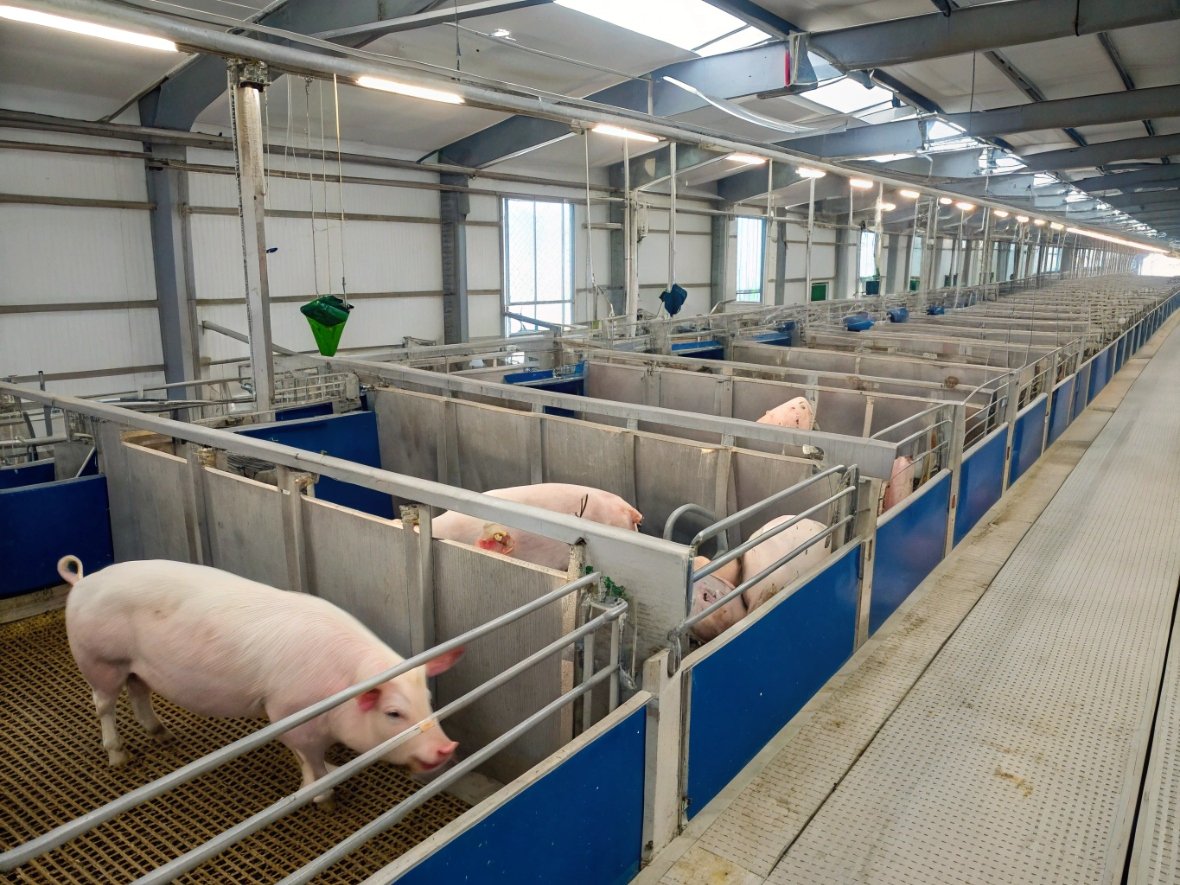 Breeding Station System