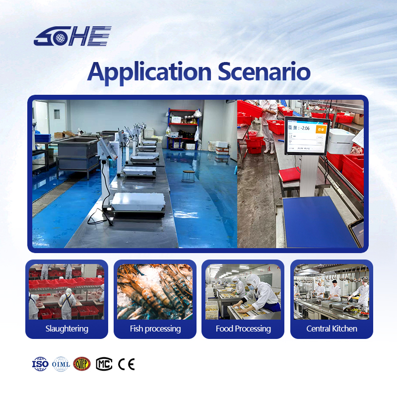 Waterproof PC Printing Scale