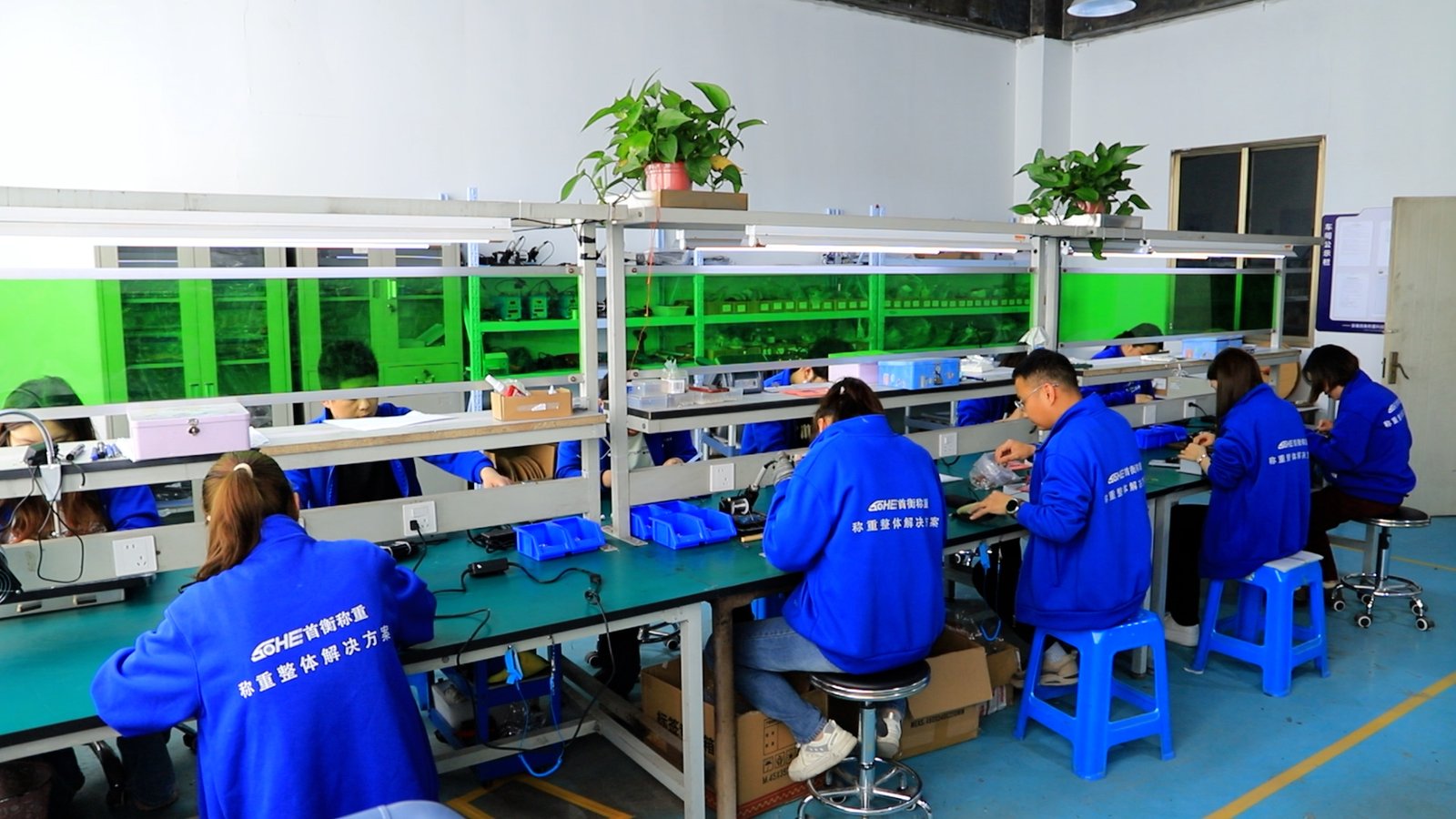 Precision Weighing Systems